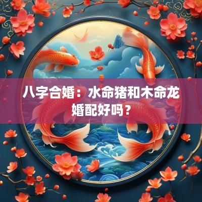 八字合婚：水命猪和木命龙婚配好吗？