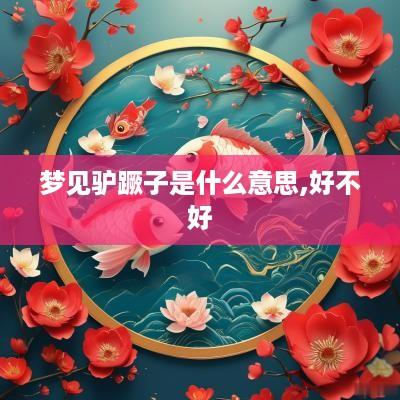 梦见驴蹶子是什么意思,好不好