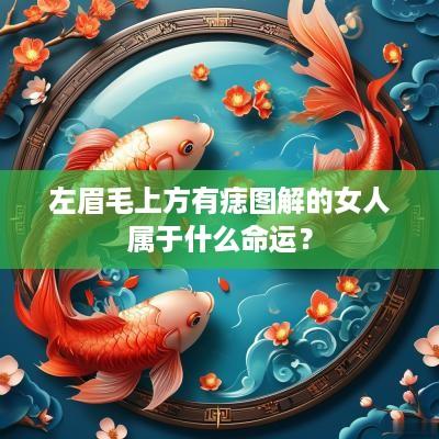左眉毛上方有痣图解的女人属于什么命运？