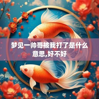 梦见一帅哥被我打了是什么意思,好不好