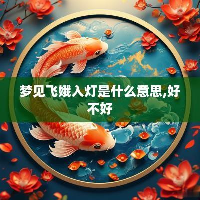 梦见飞娥入灯是什么意思,好不好