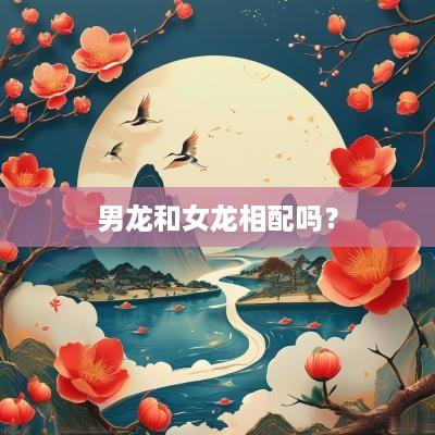 男龙和女龙相配吗？