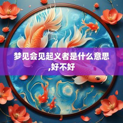 梦见会见起义者是什么意思,好不好