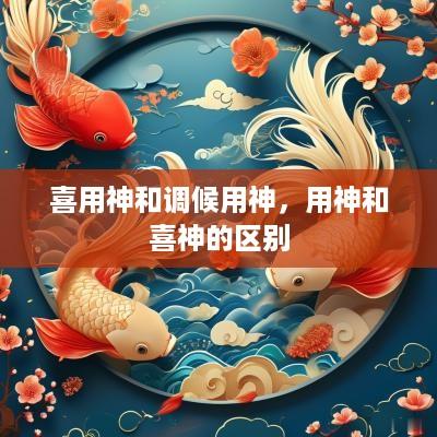 喜用神和调候用神，用神和喜神的区别