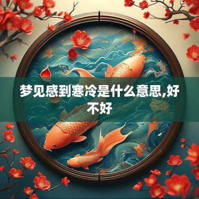 梦见感到寒冷是什么意思,好不好