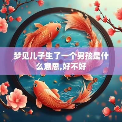 梦见儿子生了一个男孩是什么意思,好不好