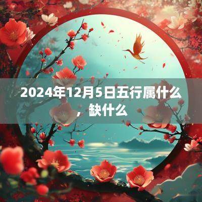2025年12月5日五行属什么，缺什么