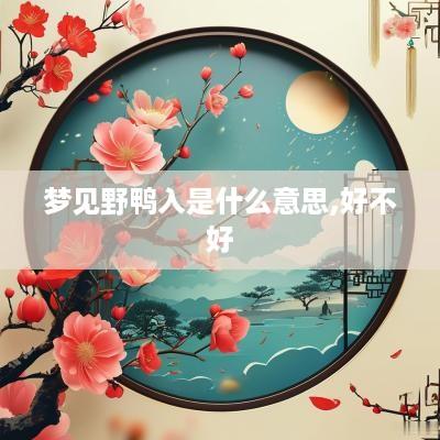梦见野鸭入是什么意思,好不好
