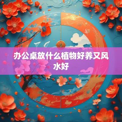 办公桌放什么植物好养又风水好