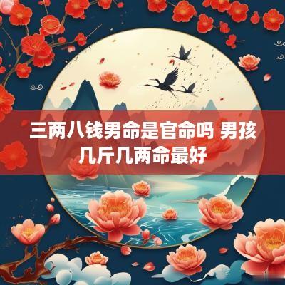 三两八钱男命是官命吗 男孩几斤几两命最好