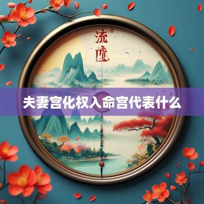 夫妻宫化权入命宫代表什么