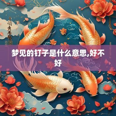 梦见的钉子是什么意思,好不好