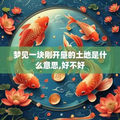 梦见一块刚开垦的土地是什么意思,好不好