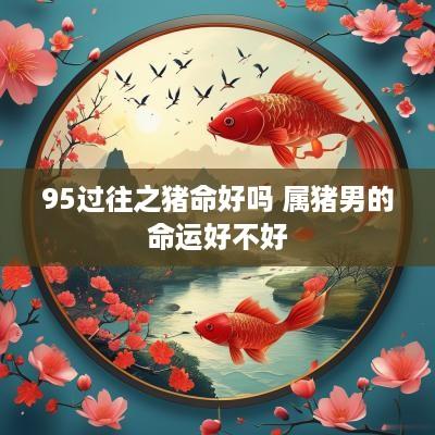 95过往之猪命好吗 属猪男的命运好不好