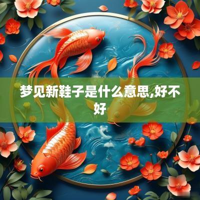 梦见新鞋子是什么意思,好不好