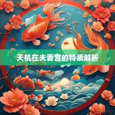 天机在夫妻宫的特质解析