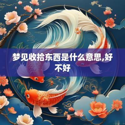 梦见收拾东西是什么意思,好不好