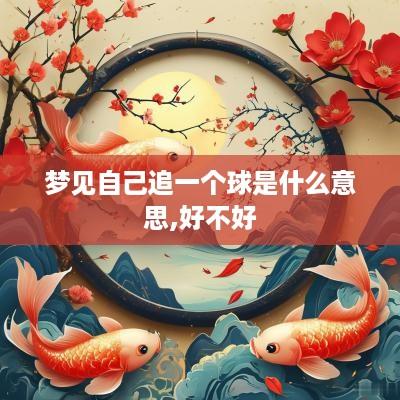 梦见自己追一个球是什么意思,好不好