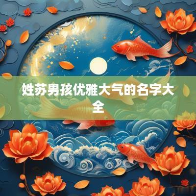 姓苏男孩优雅大气的名字大全