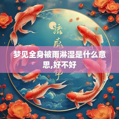 梦见全身被雨淋湿是什么意思,好不好