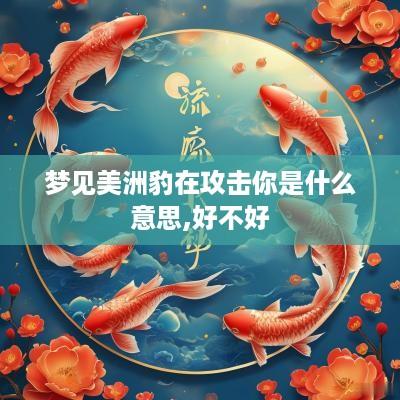 梦见美洲豹在攻击你是什么意思,好不好