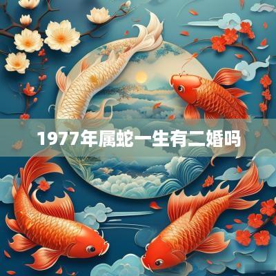 1977年属蛇一生有二婚吗