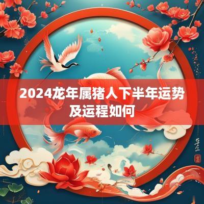 2025蛇年属猪人下半年运势及运程如何