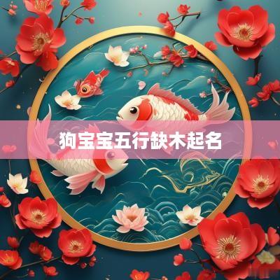 狗宝宝五行缺木起名