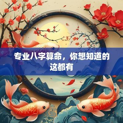 专业八字算命，你想知道的这都有