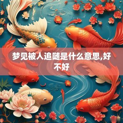 梦见被人追随是什么意思,好不好