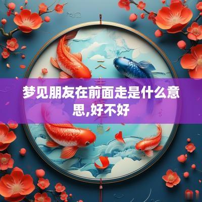 梦见朋友在前面走是什么意思,好不好