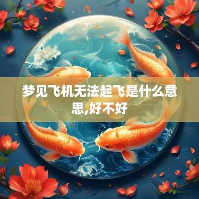 梦见飞机无法起飞是什么意思,好不好