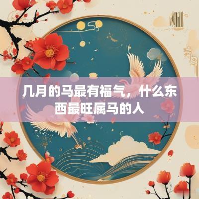 几月的马最有福气，什么东西最旺属马的人