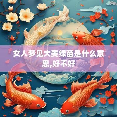 女人梦见大麦绿苗是什么意思,好不好