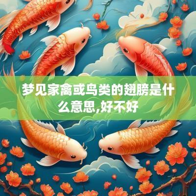 梦见家禽或鸟类的翅膀是什么意思,好不好