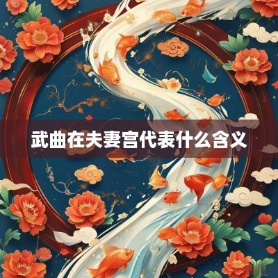 武曲在夫妻宫代表什么含义