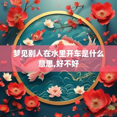 梦见别人在水里开车是什么意思,好不好