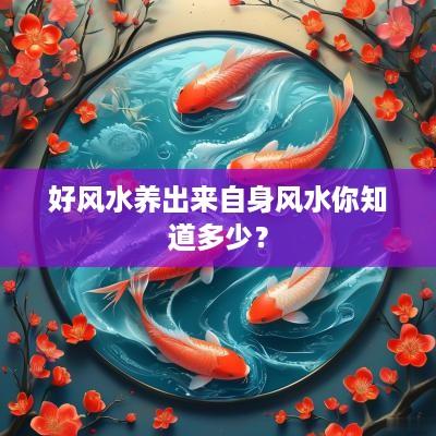 好风水养出来自身风水你知道多少？