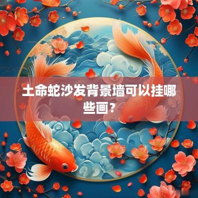 土命蛇沙发背景墙可以挂哪些画？