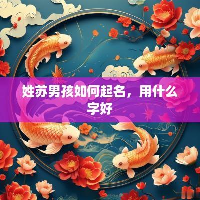 姓苏男孩如何起名，用什么字好
