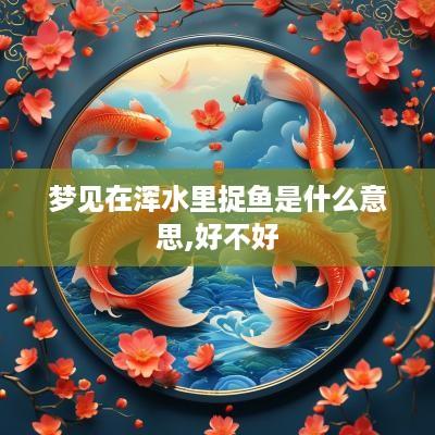 梦见在浑水里捉鱼是什么意思,好不好