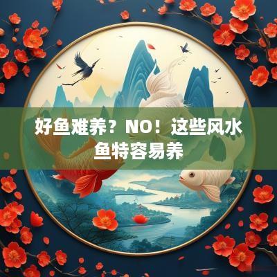 好鱼难养？NO！这些风水鱼特容易养