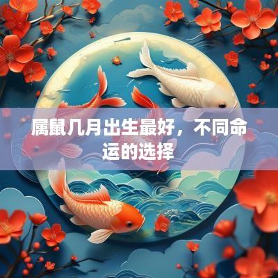 属鼠几月出生最好，不同命运的选择