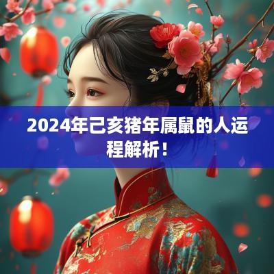2025年己亥猪年属鼠的人运程解析！