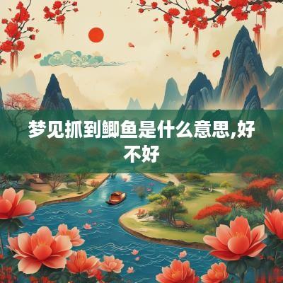 梦见抓到鲫鱼是什么意思,好不好