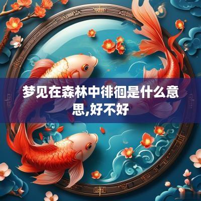梦见在森林中徘徊是什么意思,好不好
