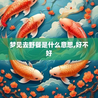 梦见去野餐是什么意思,好不好