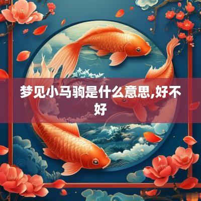 梦见小马驹是什么意思,好不好