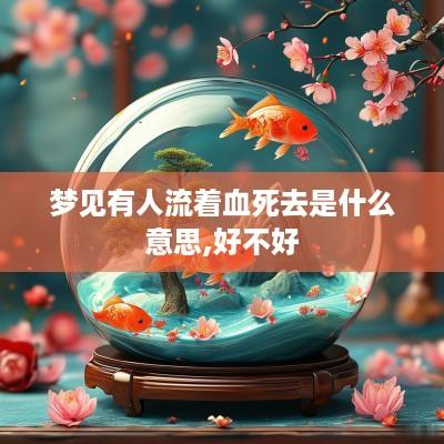 梦见有人流着血死去是什么意思,好不好