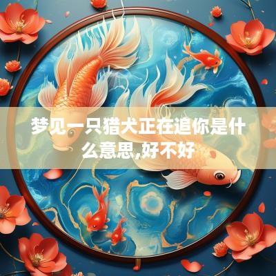 梦见一只猎犬正在追你是什么意思,好不好